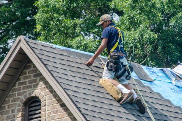 Best Residential Roof Replacement  in Wamego, KS